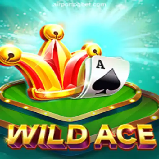 Exploring the Excitement of WildAce: The Ultimate Airport Adventure
